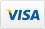 A visa logo is shown.