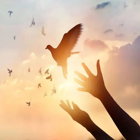 A person 's hands reaching up to catch a bird flying in the sky.